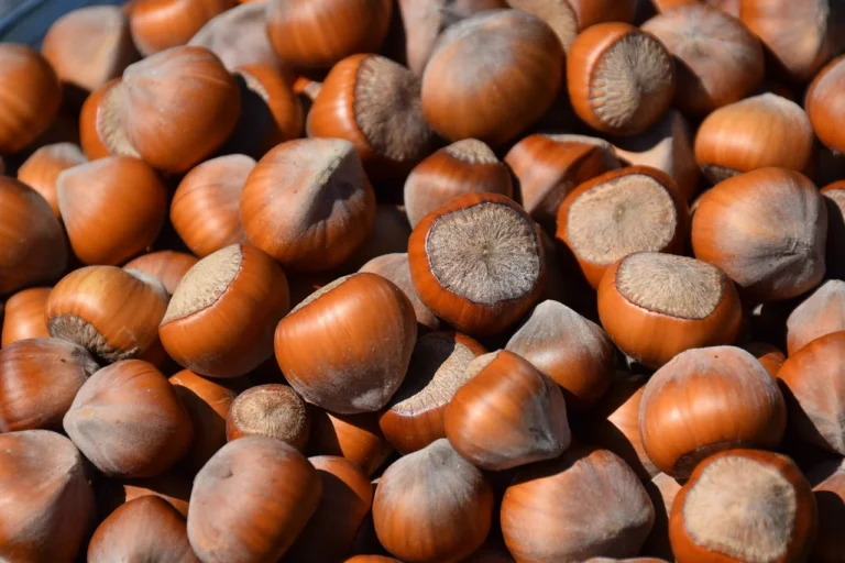 seeds