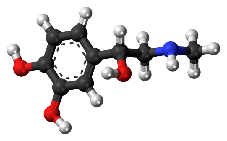 cei 4 hormoni ai fericirii