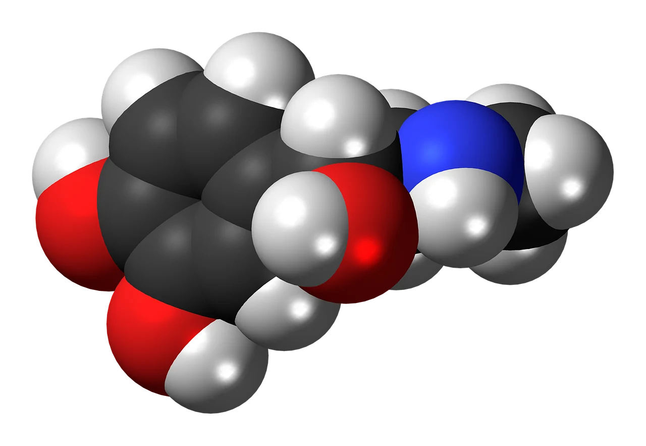hormonii sexuali