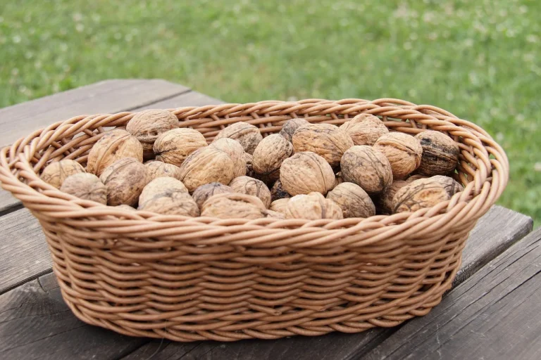 cele mai bune alimente pentru circulatia sangelui