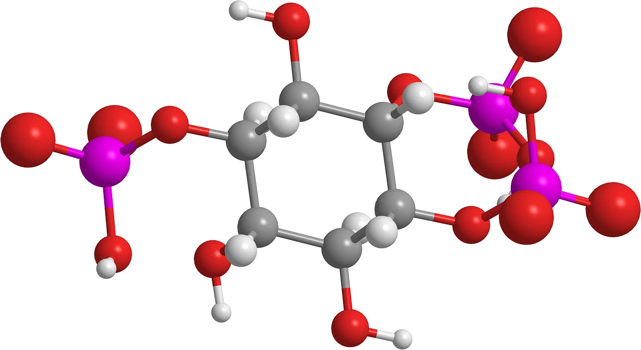 alimente care contin inozitol