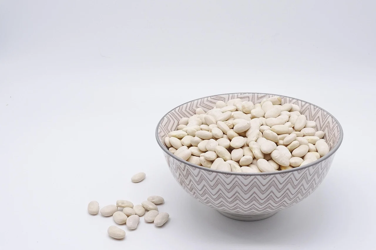 alimente bogate in proteina