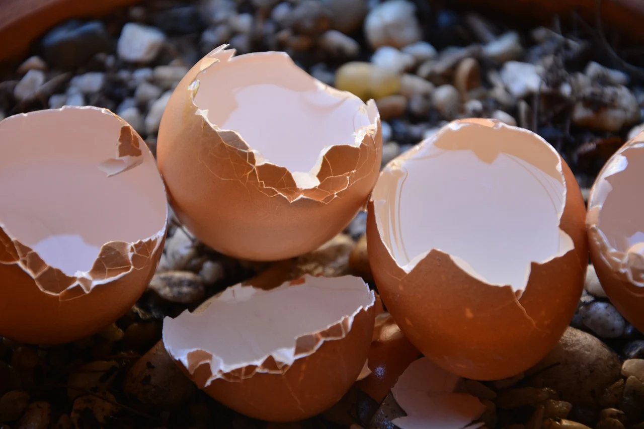 lipsa de calciu simptome