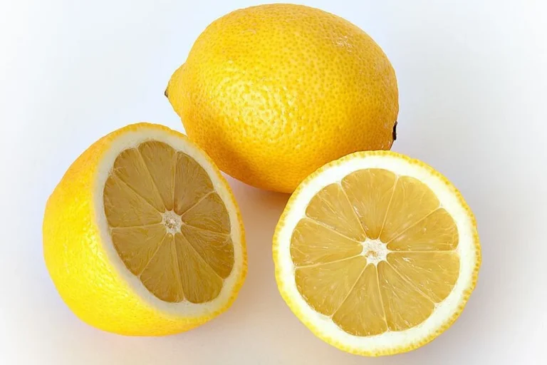 vitamina e naturala