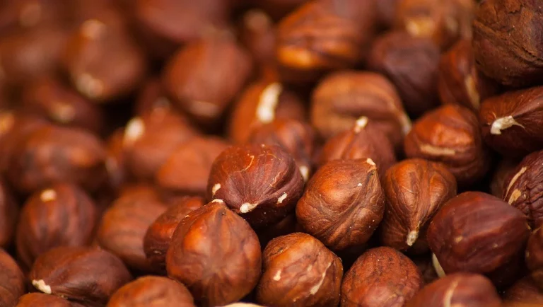 cata proteina trebuie sa mananci ca sa slabesti