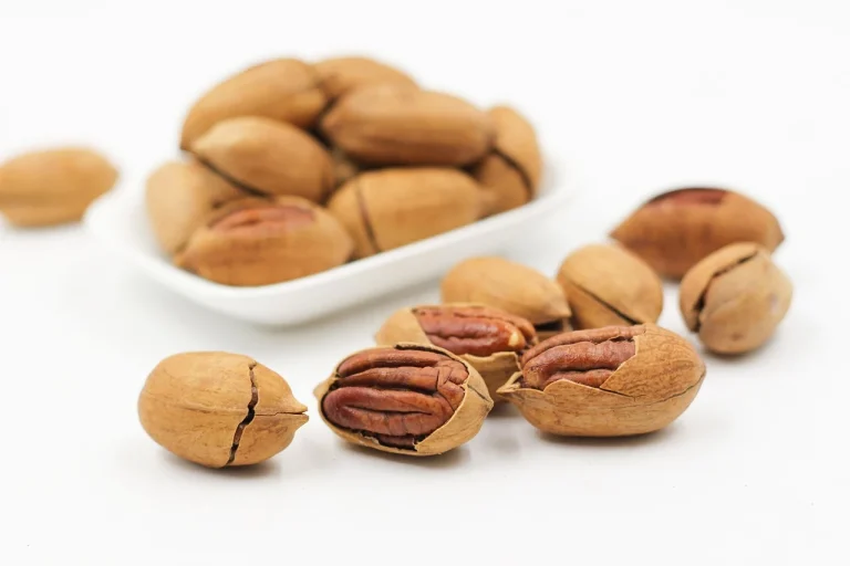 surse de proteina vegetala
