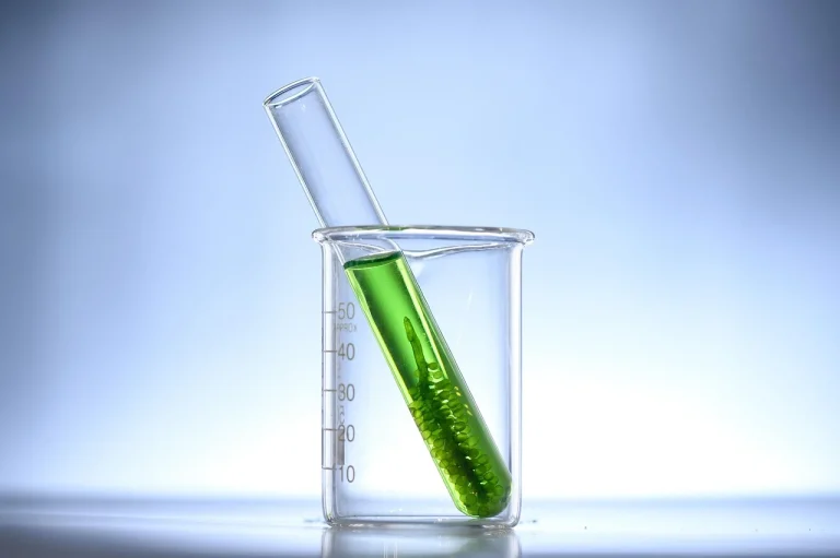 spirulina si chlorella contraindicatii