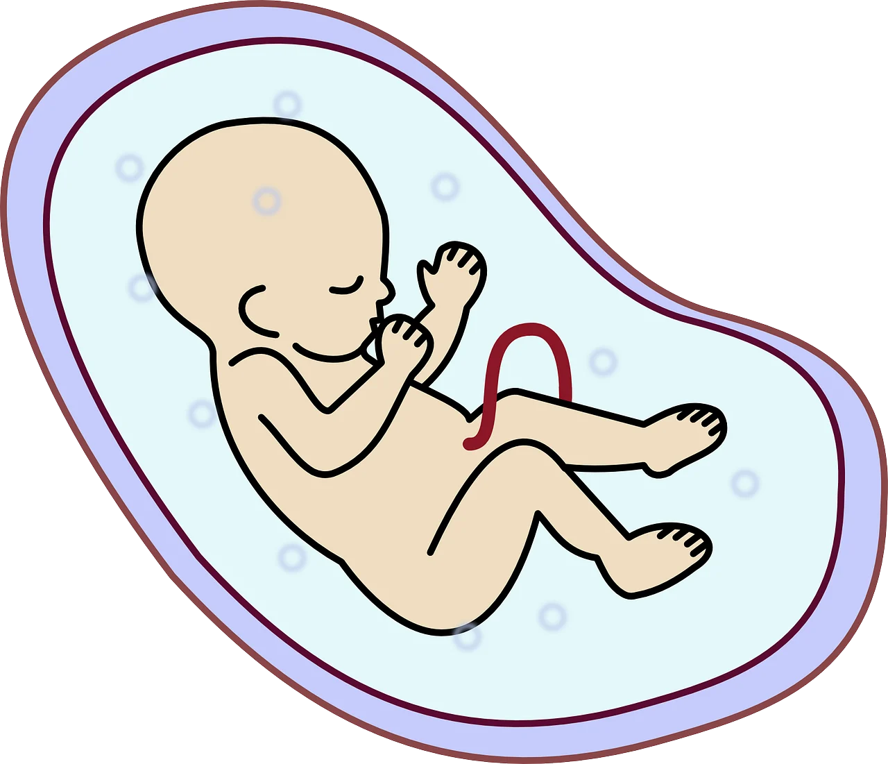 ce se intampla cu placenta dupa nastere