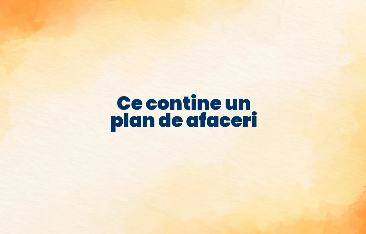 ce contine un plan de afaceri