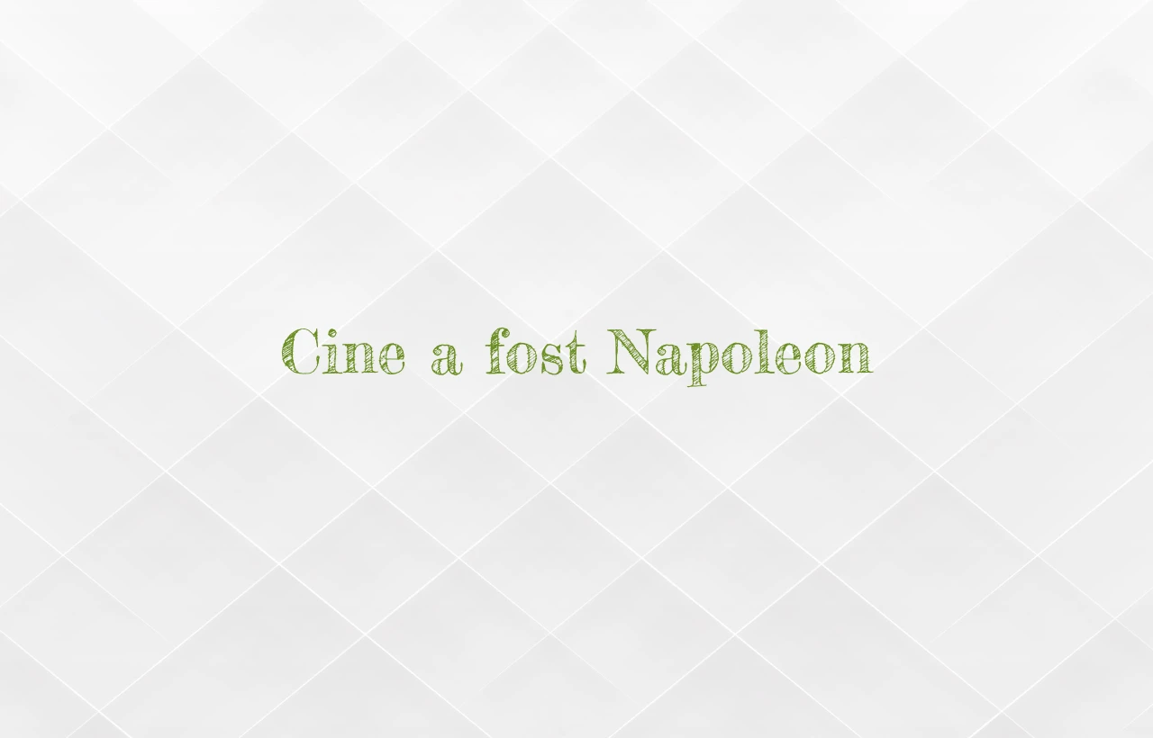 cine a fost napoleon