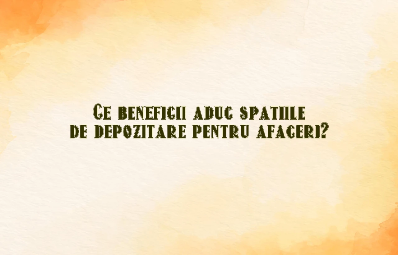 Ce beneficii aduc spatiile de depozitare pentru afaceri?