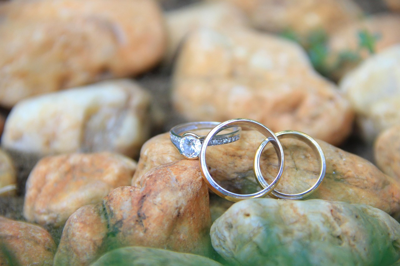 violeta romanescu divort